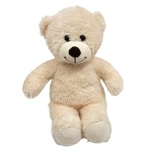 Build-A-Bear 2010 Lil' Coconut Cub‎ Cream Ivory 16" Teddy Bear (Build A Bear)